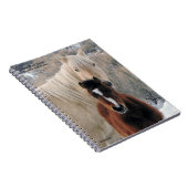 砂の洗面器からのKahluaそしてAvocet ノートブック (右側)