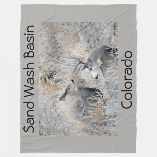 砂の洗面器のあなたの視力を置いて下さい フリースブランケット (正面)