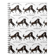 砂の洗面器のための野生の馬の戦士