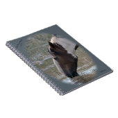 砂の洗面器のノートの野生の馬 ノートブック (右側)