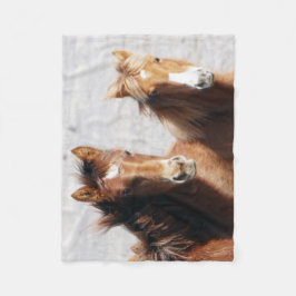 砂の洗面器の子馬 フリースブランケット