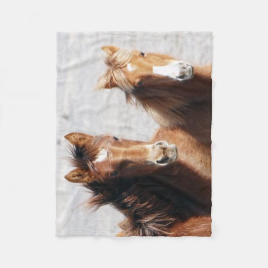 砂の洗面器の子馬 フリースブランケット (正面)