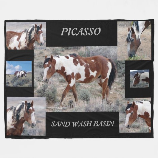 砂の洗面器、コロラド州のピカソアイコン フリースブランケット (正面(横))