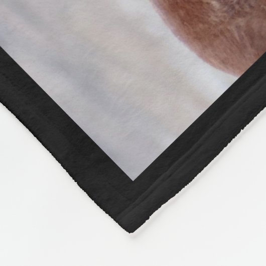 砂の洗面器、コロラド州のピカソアイコン フリースブランケット (角)