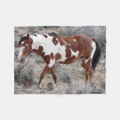 砂の洗面器、コロラド州のピカソアイコン フリースブランケット (正面(横))