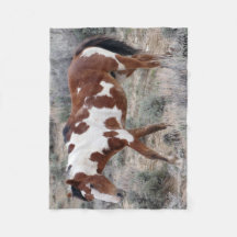 砂の洗面器、コロラド州のピカソアイコン