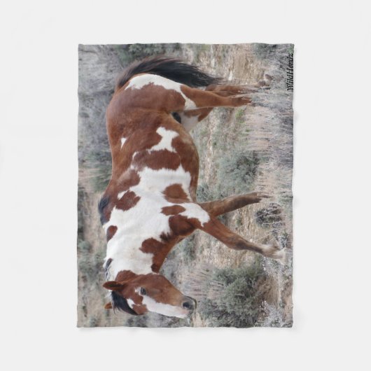 砂の洗面器、コロラド州のピカソアイコン フリースブランケット (正面)