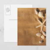 砂の海の貝 ポストカード (正面/裏面)