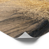 砂の砂丘の形成。ブルネオデュネス州パーク2 ポスター (角)