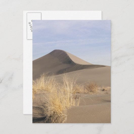 砂の砂丘の形成。ブルネオデュネス州パーク2 ポストカード (正面/裏面)