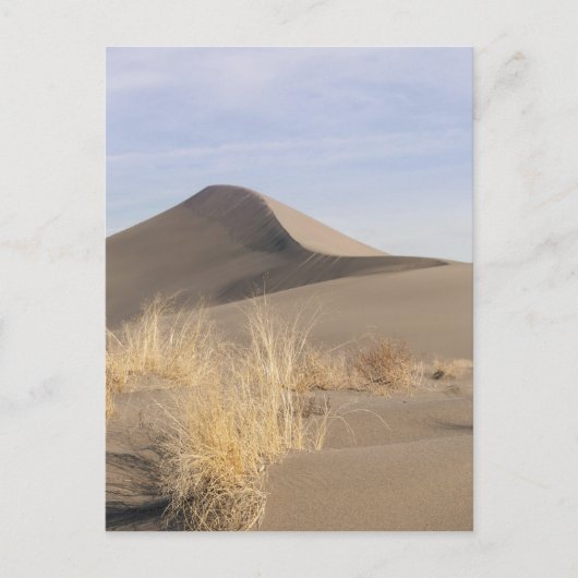 砂の砂丘の形成。ブルネオデュネス州パーク2 ポストカード (正面)