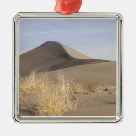 砂の砂丘の形成。ブルネオデュネス州パーク2 メタルオーナメント (正面)