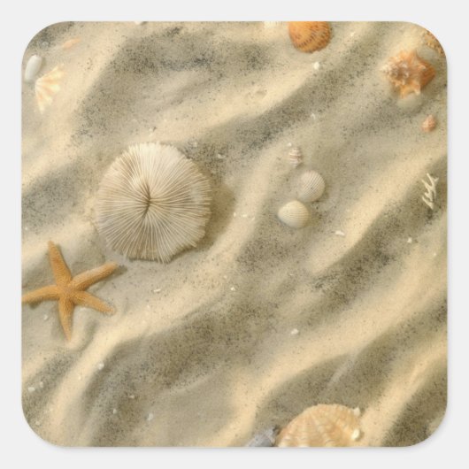 砂の貝殻 スクエアシール (正面)