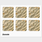 砂の貝殻 スクエアシール (シート)