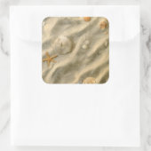 砂の貝殻 スクエアシール (バッグ)