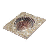 砂の貝殻 タイル (側面)