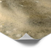 砂の貝殻 ポスター (角)