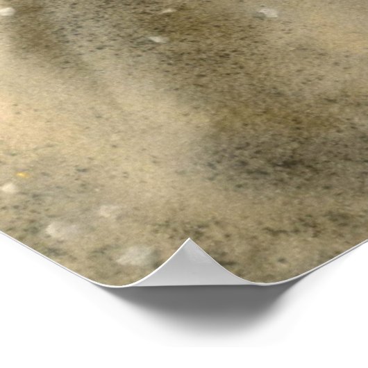 砂の貝殻 ポスター (角)