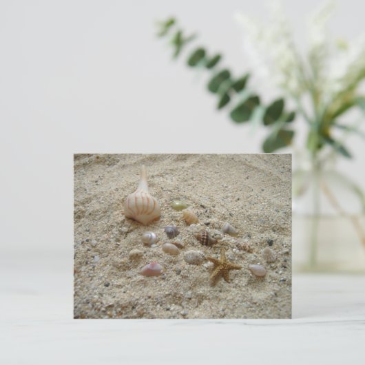 砂の貝殻 ポストカード (スタンド正面)