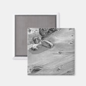 砂の足跡 マグネット (正面/裏面)