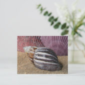 砂はがき内のシェル ポストカード (スタンド正面)