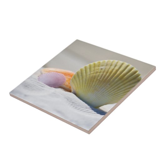 砂カラフルの貝殻 タイル (側面)