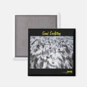 砂スカルプト磁石 マグネット (正面/裏面)