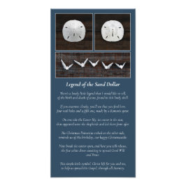 砂ドルの伝説 フォトプリント           