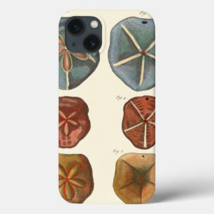 砂ドルの宝石 iPhone 13ケース