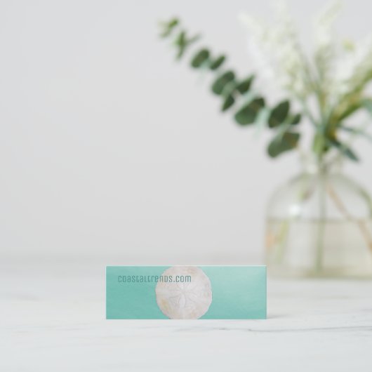 砂ドルの水彩画の小型名刺 スキニー名刺 (スタンド正面)