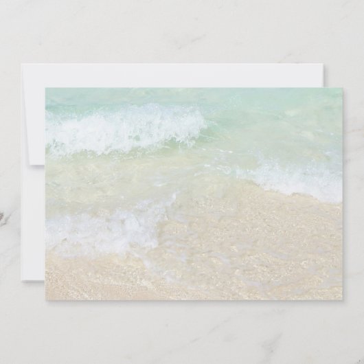 砂ドル5枚結婚のサンキューカード サンキューカード (裏面)