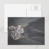 砂ドル ポストカード (正面/裏面)