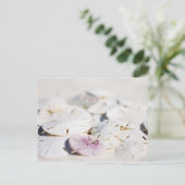 砂ドル ポストカード (スタンド正面)