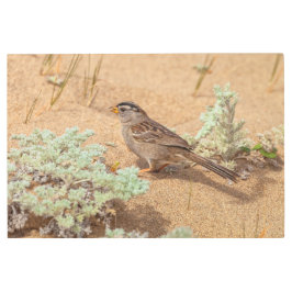 砂上のスパロー メタルプリント