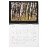 砂丘のオジロ鹿シカ! カレンダー (3月 2027)