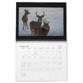 砂丘のオジロ鹿シカ! カレンダー (2月 2027)