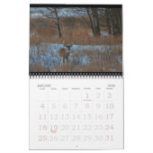 砂丘のオジロ鹿シカ! カレンダー (1月 2026)