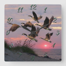 砂丘の上をガチョウ