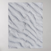 砂丘の上面 ポスター (正面)