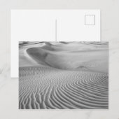 砂丘の模様 ポストカード (正面/裏面)