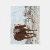 砂丘の野生の馬 フリースブランケット (正面)