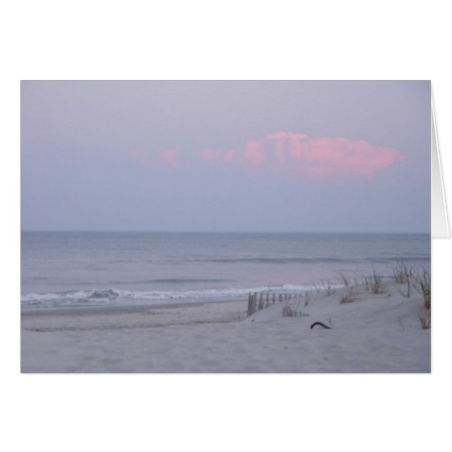 砂丘のSittin (正面横)