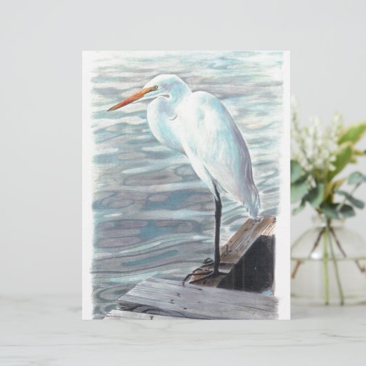 砂丘は水の中で鶴を伸ばす。 (スタンド正面)