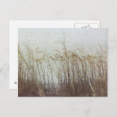 砂丘を通してII ポストカード (正面/裏面)