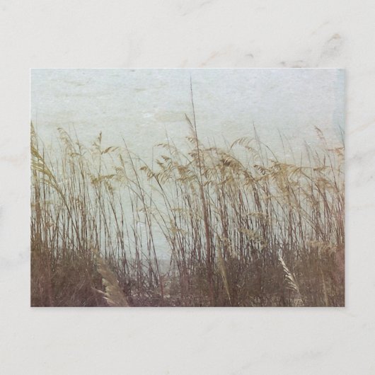 砂丘を通してII ポストカード (正面)