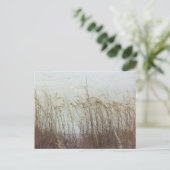 砂丘を通してII ポストカード (スタンド正面)