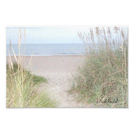 砂丘を通る道 フォトプリント           