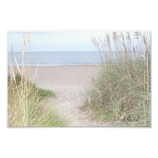 砂丘を通る道 フォトプリント            (正面)