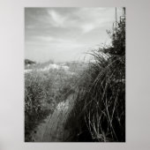 砂丘を通る道 ポスター (正面)