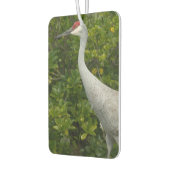 砂丘クレーンの鳥の緑の写真 カーエアーフレッシュナー (左)